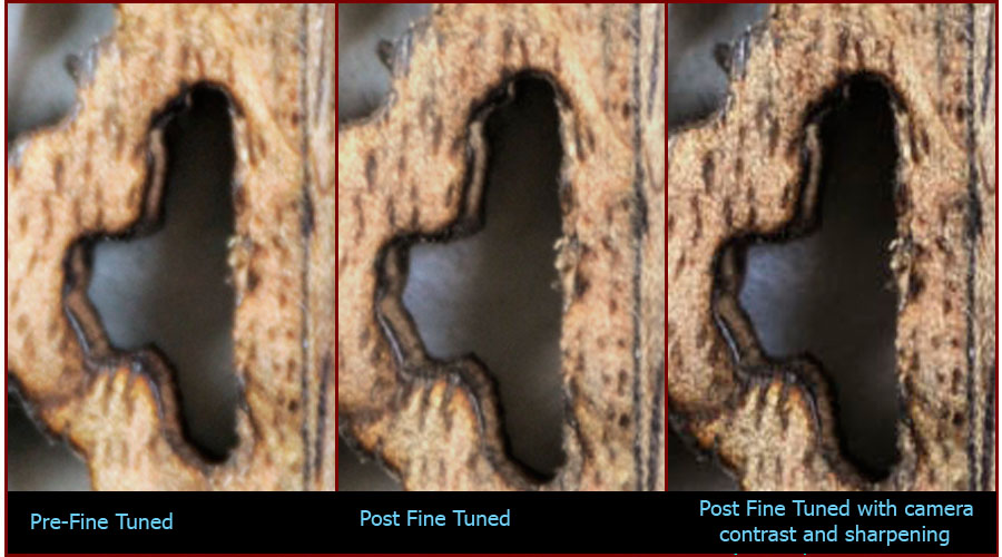 Image of Nikon
D300 Shooting Mode and Flash Buttons